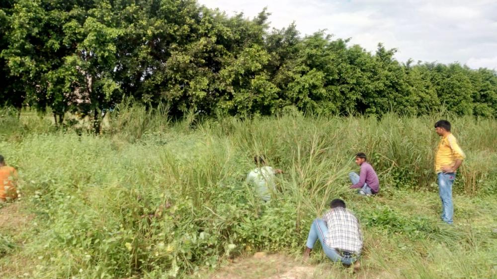 Swachh Bharat Mission (Noida)